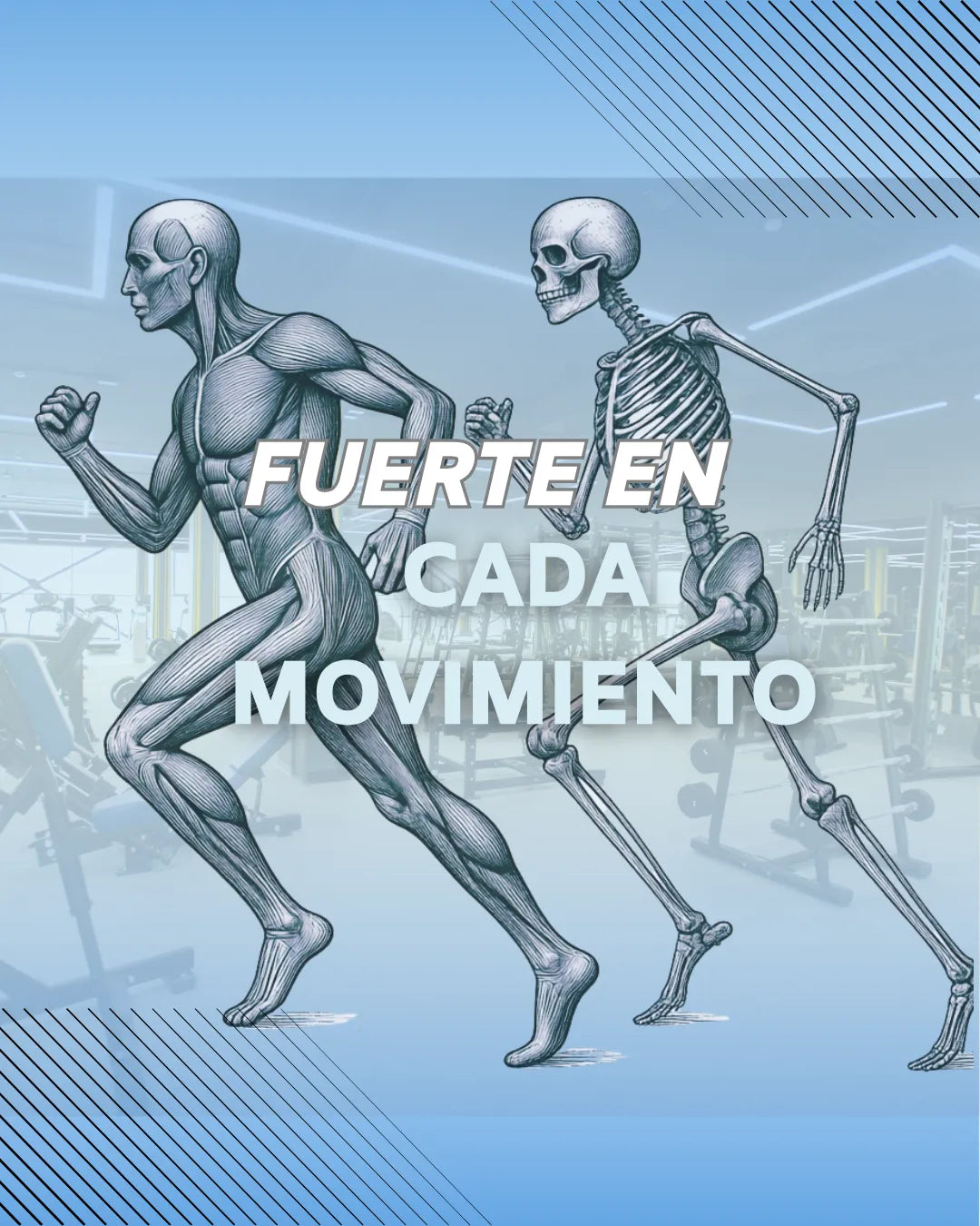 Salud Ósea y Articular
