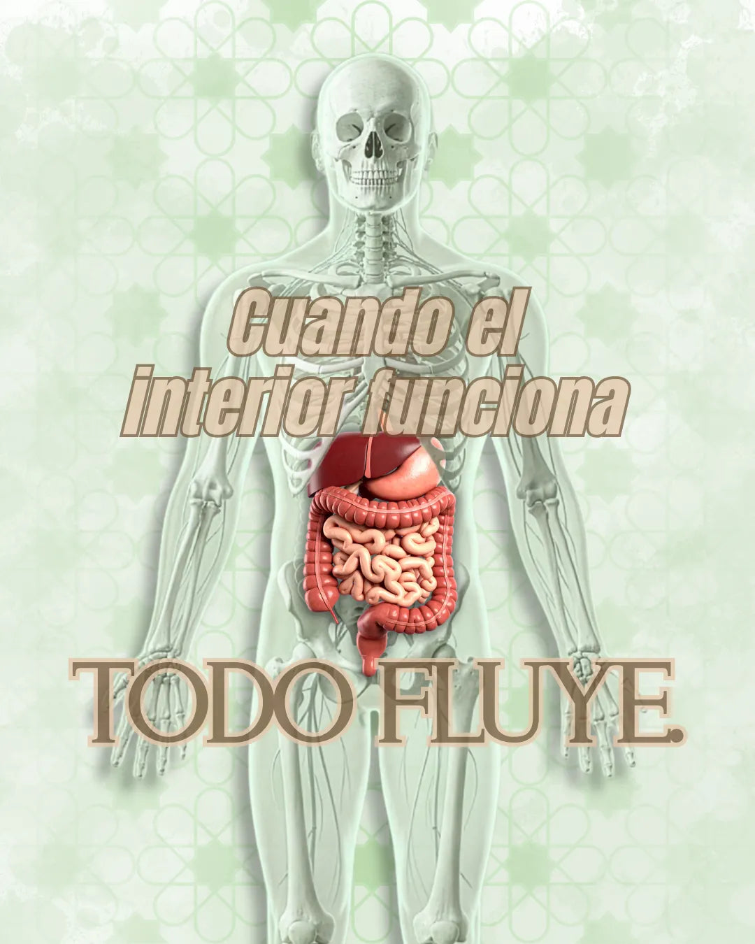 Salud digestiva e Intestinal