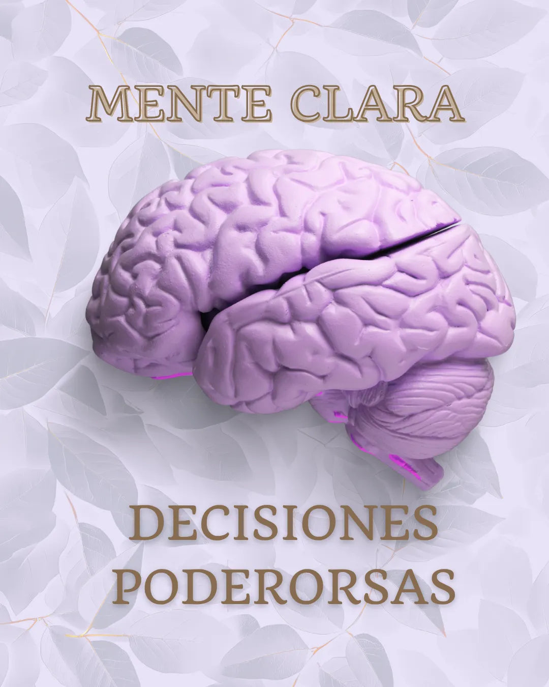 Salud mental y Cognitiva